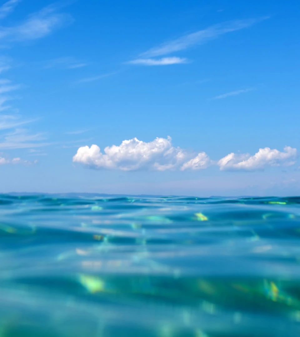 Ocean diving with Buzos Salvajes in Playa del Carmen Mexico